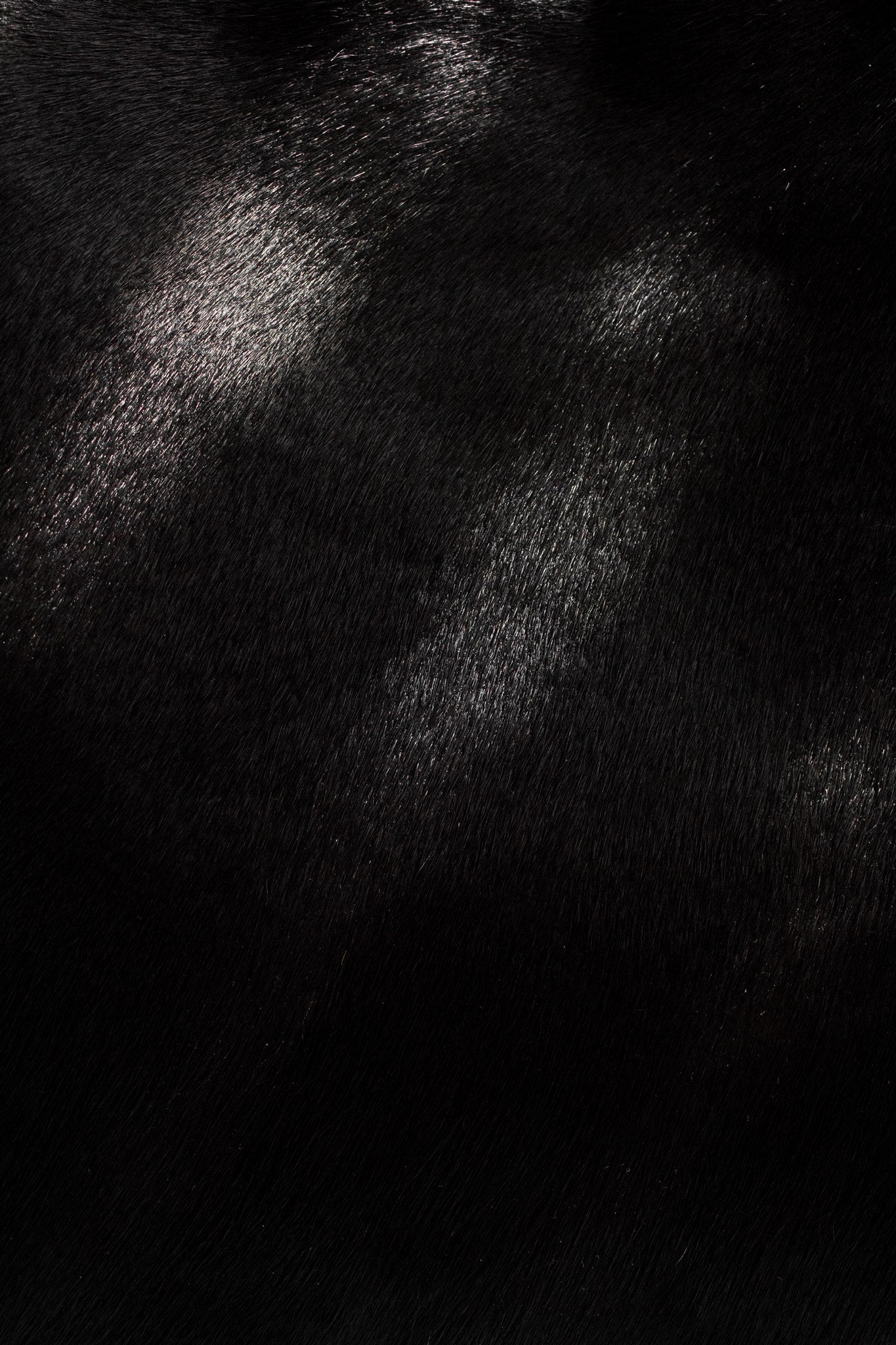 AURA COWHIDE FULL BLACK